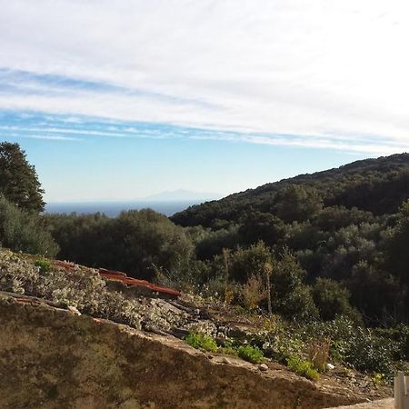 Maison Dans Le Cap Corse Villa Tomino Exteriör bild